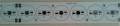 RGB (3 Renk) 18Li Line Pcb 47x3.5mm