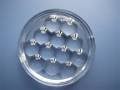 12 Li Petek Lens
