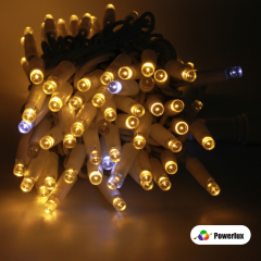 İp Led 10mt 100 led