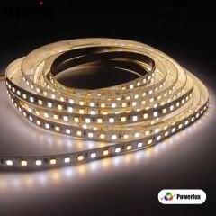 24V ÇİFT RENK 2700K+6500K 192led Şerit Led IP20