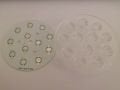 12Li Dijital Lens + Pcb Takım 30 Derece Tırtıklı Lens