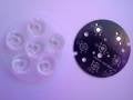 6Lı Taiwan Lens+Pcb