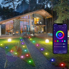 Powerlux Pixel Bahçe Dekoratif Aydınlatma Smart Kit ICRGB
